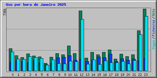 Uso por hora de Janeiro 2025
